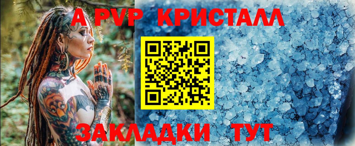 A PVP СК КРИС  A PVP СК  Усть-Джегута  Вход с VPN  Альфа ПВП СК КРИС 