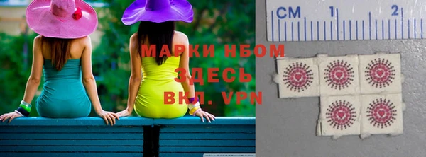 тгк Ельня