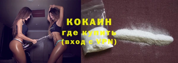 тгк Ельня