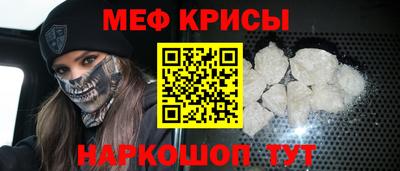 стаф Кингисепп