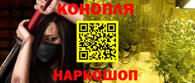 стаф Кингисепп