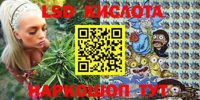 индика Кимры