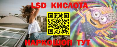 стаф Кингисепп
