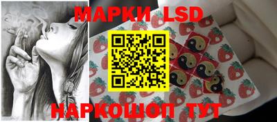 стаф Кингисепп