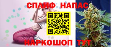 стаф Кингисепп