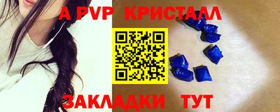 стаф Кингисепп