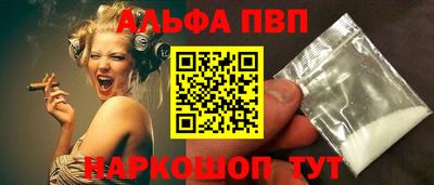 стаф Кингисепп