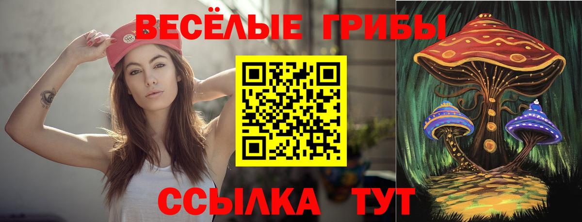 Усть-Джегута  Псилоцибиновые грибы Psilocybe  Галлюциногенные грибы MAGIC MUSHROOMS  что такое   Вход с VPN 