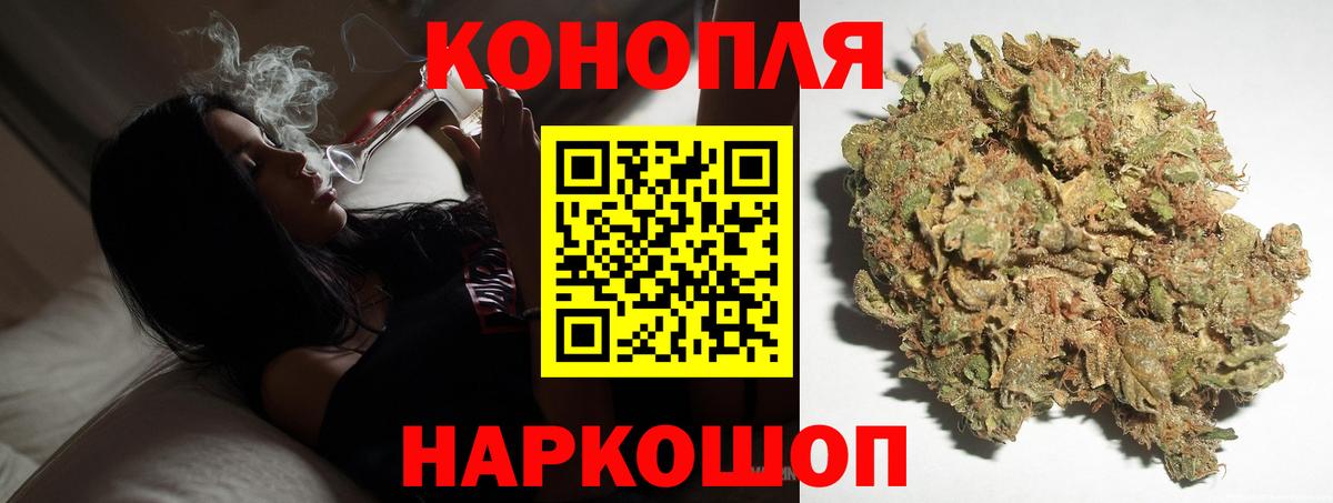 Каннабис индика  Конопля OG Kush  Шишки марихуана план  Усть-Джегута  Вход с VPN  Канабис марихуана 